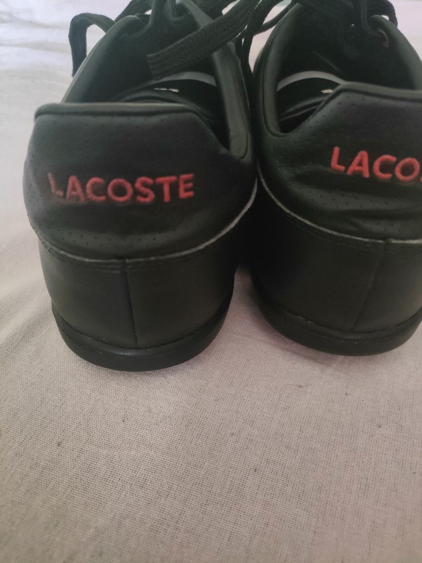 Lacoste evershot pit spm buty