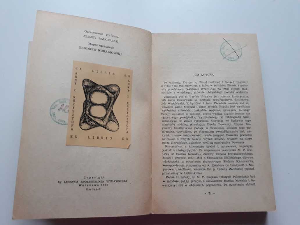 Ziemia i gwiazdy – Stanisław Strumph Wojtkiewicz.
