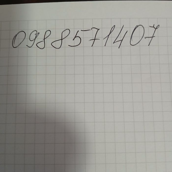 Дівчинка лабрадор чорного кольору  чекає на своїх люблячих господарів