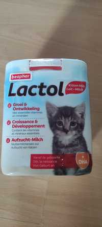 Lactol nowe mleko kocie dla kotków kociąt 500g