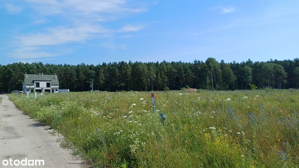 Działka Budowlana Murowaniec okolice Bydgoszczy otoczona lasami