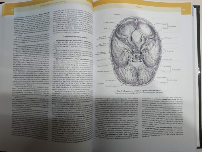 Атлас анатомии человека" в 4-х томах Синельников Р.Д. 2019г.