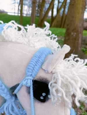 Hobby horse koń na kiju