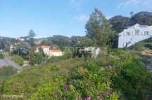 Terreno Urbano, Portela de Sintra | Centro de Sintra