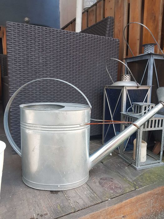 Konewka ozdobna- ogrod