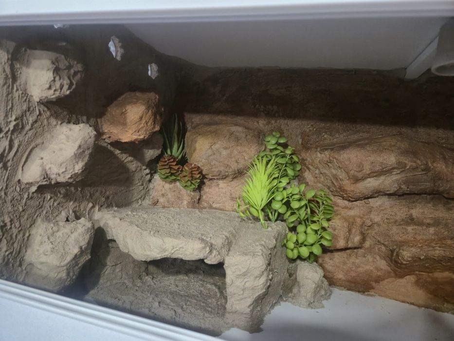 Nowe Gotowe Terrarium 80x40x40