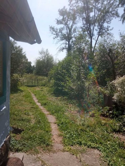 Продам будинок в мальовничому селі      ‼️ СРОЧНО ‼️