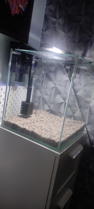 Akwarium 49 l zestaw  aquael shrimp set Duo