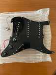 stratocaster Van Zandt Loaded pickguard