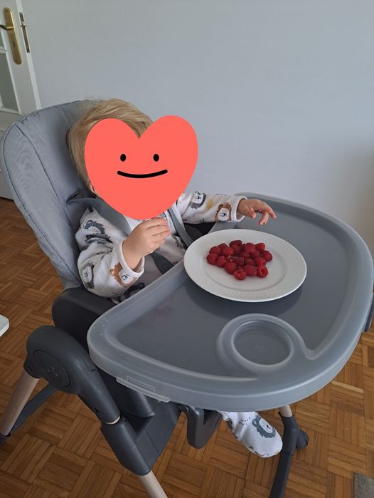 Cadeira de Alimentação Maxi-cosi Minla