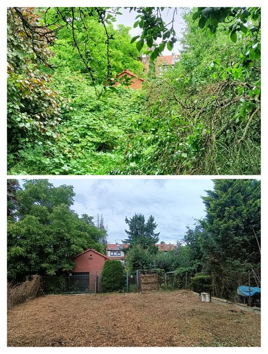 Wycinka drzew Czyszczenie działek Usługi rębakiem