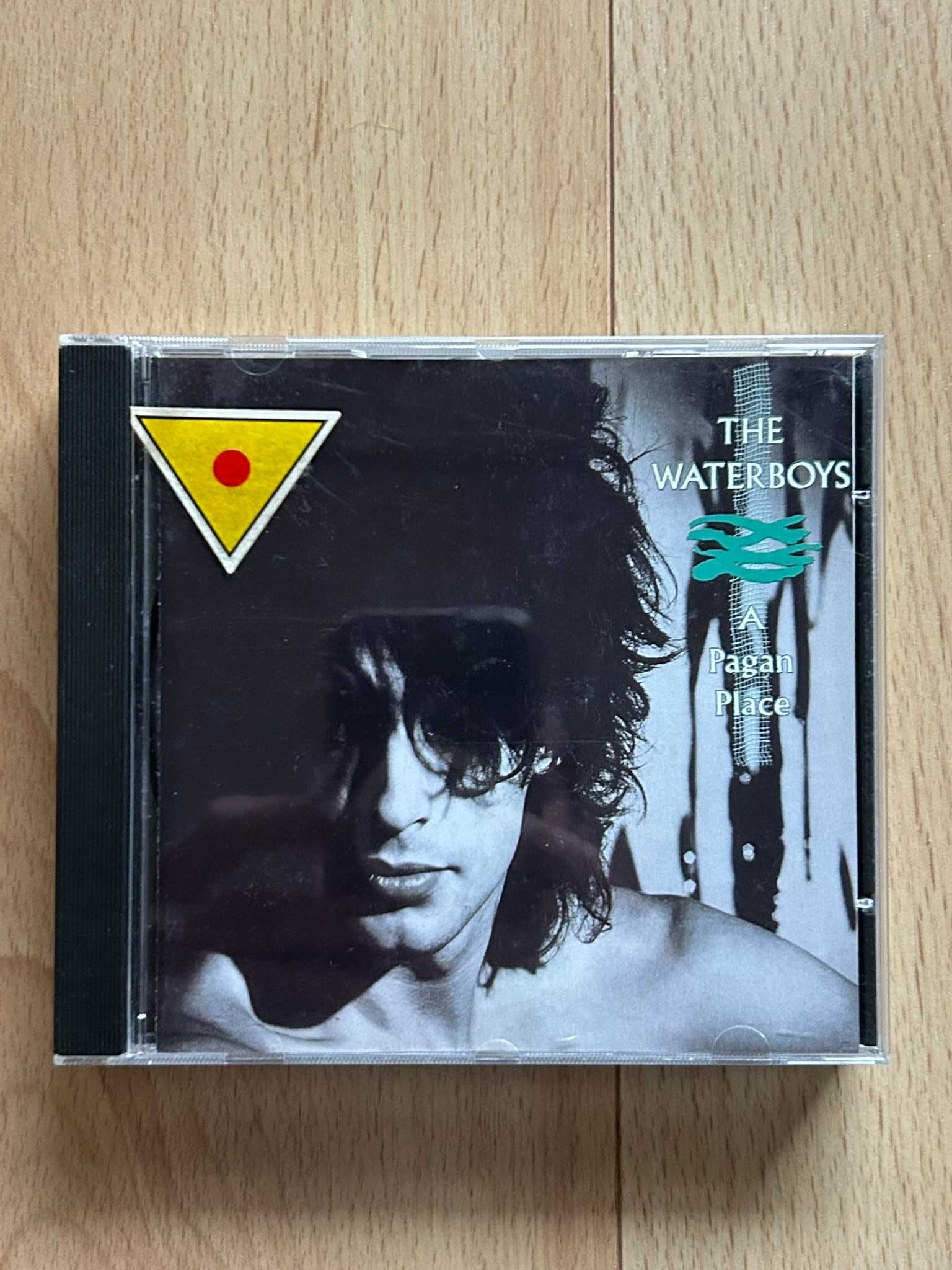 CDs vários Clash, Waterboys, Men At Work, Moby, Bush e mais