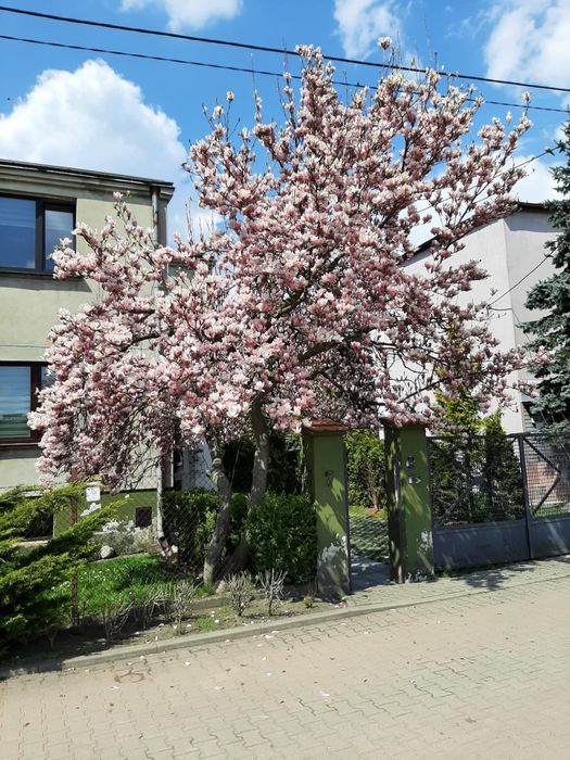 Parter w domku jednorodzinnym na kwatery pracownice