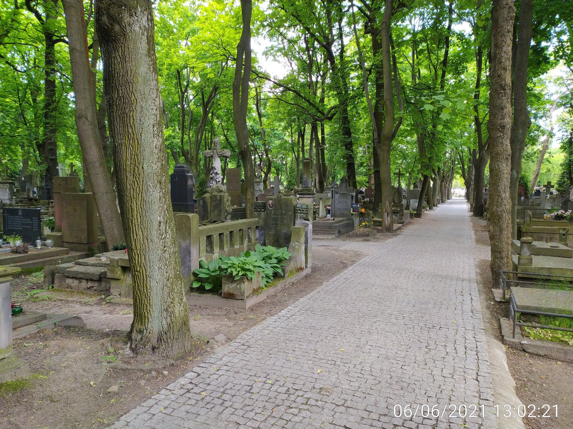 Sprzątanie grobów, opieka nad grobami - Warszawa - EMKA PLUS