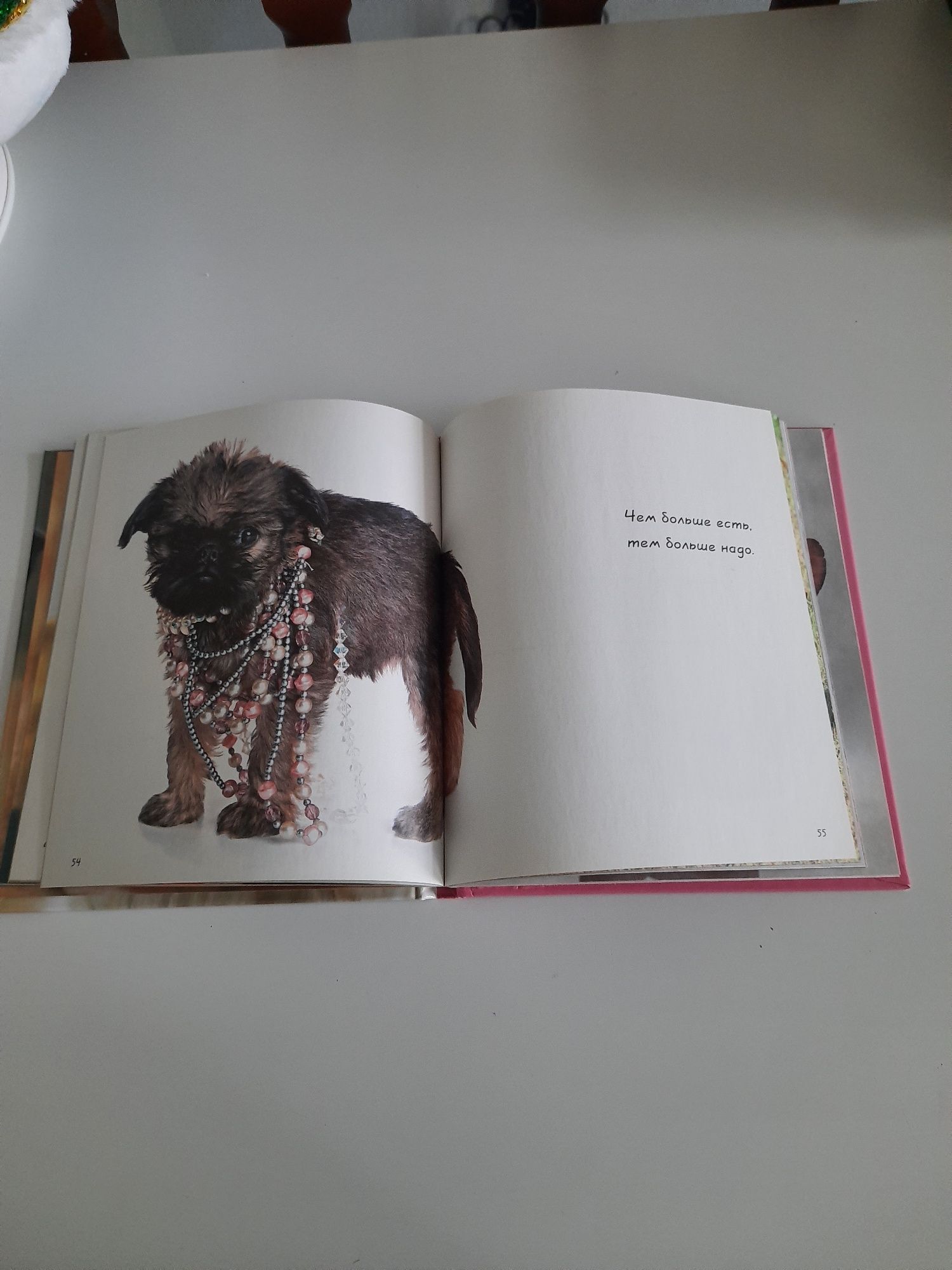 Книга "О чём думает собака"