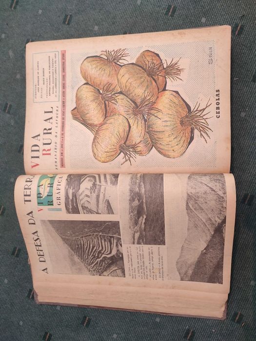 Vida Rural 1º Semestre 1954 - 25 Revistas Encadernadas