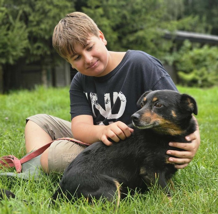 Blancik szuka domu -schronisko Zgierz-aktualne