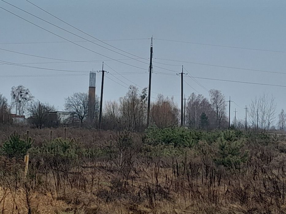 Продам ПАЙ Чорнозем м. Березне  1,41 Га (неподалік траса)