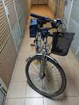 Rower Motta City Cruiser '28