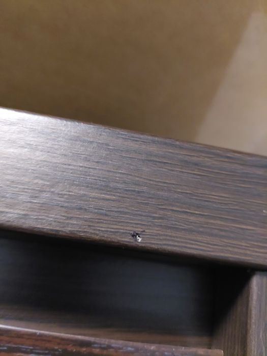 Witryna Kaspian Wenge Black Red White