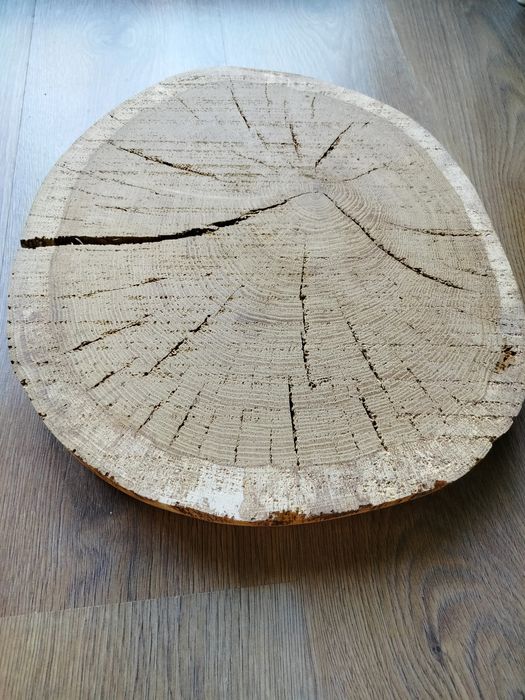 Dębowy krążek do zalania żywicą SUCHY