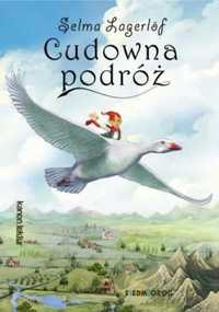 Cudowna podróż - Adam Zabokrzycki