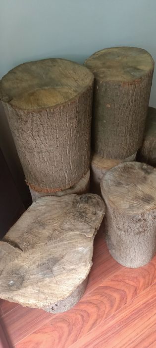 Pieńki drewniane zestaw