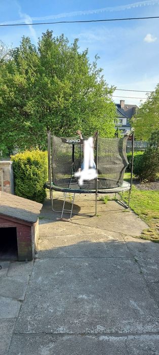 trampolina zipro 10 in