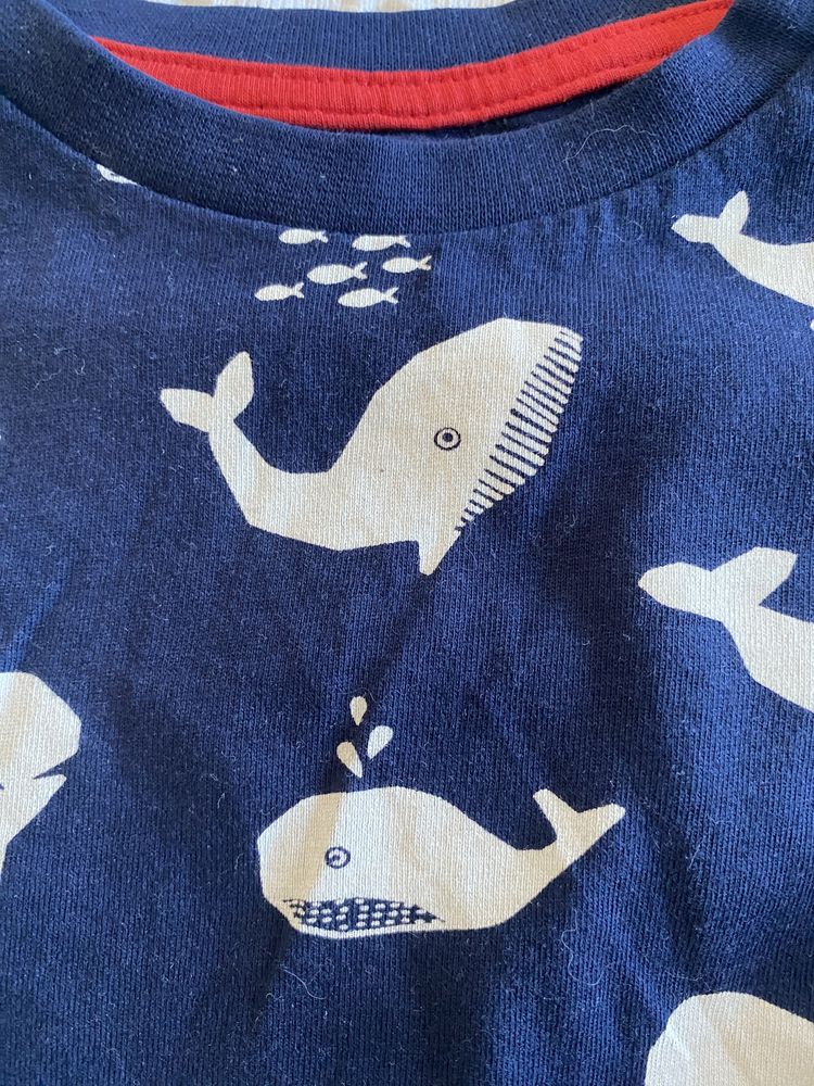 T-shirt menino 2-3 anos lote de verão