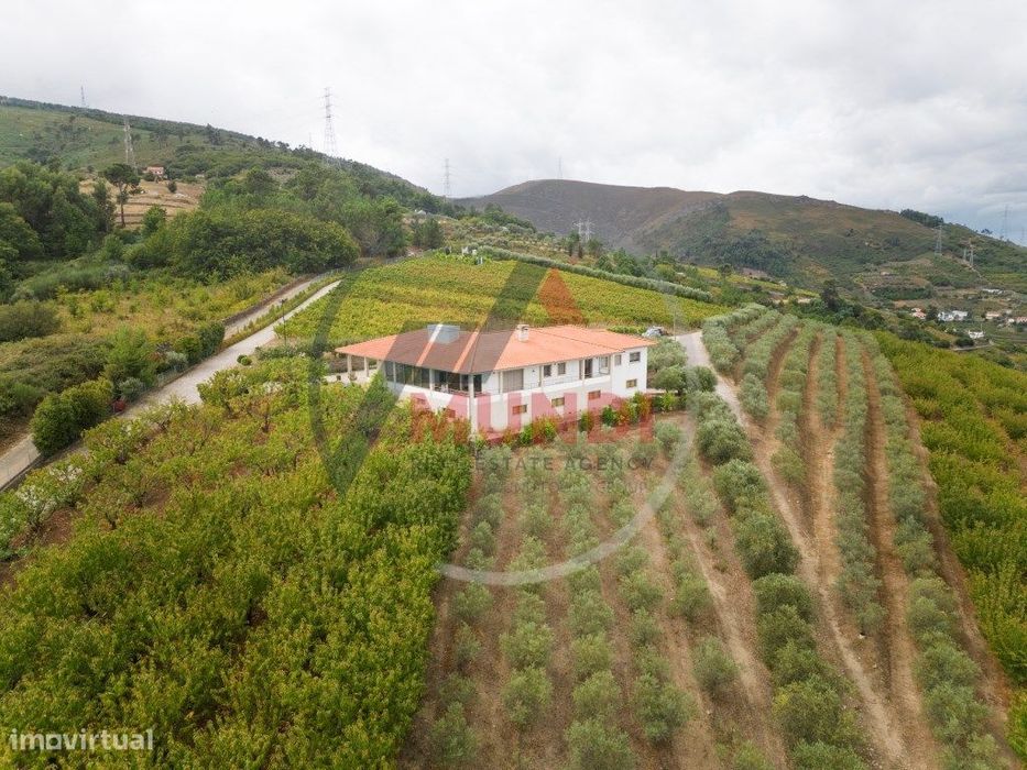 Quinta em Penajóia com excelentes vistas sobre o Rio Douro