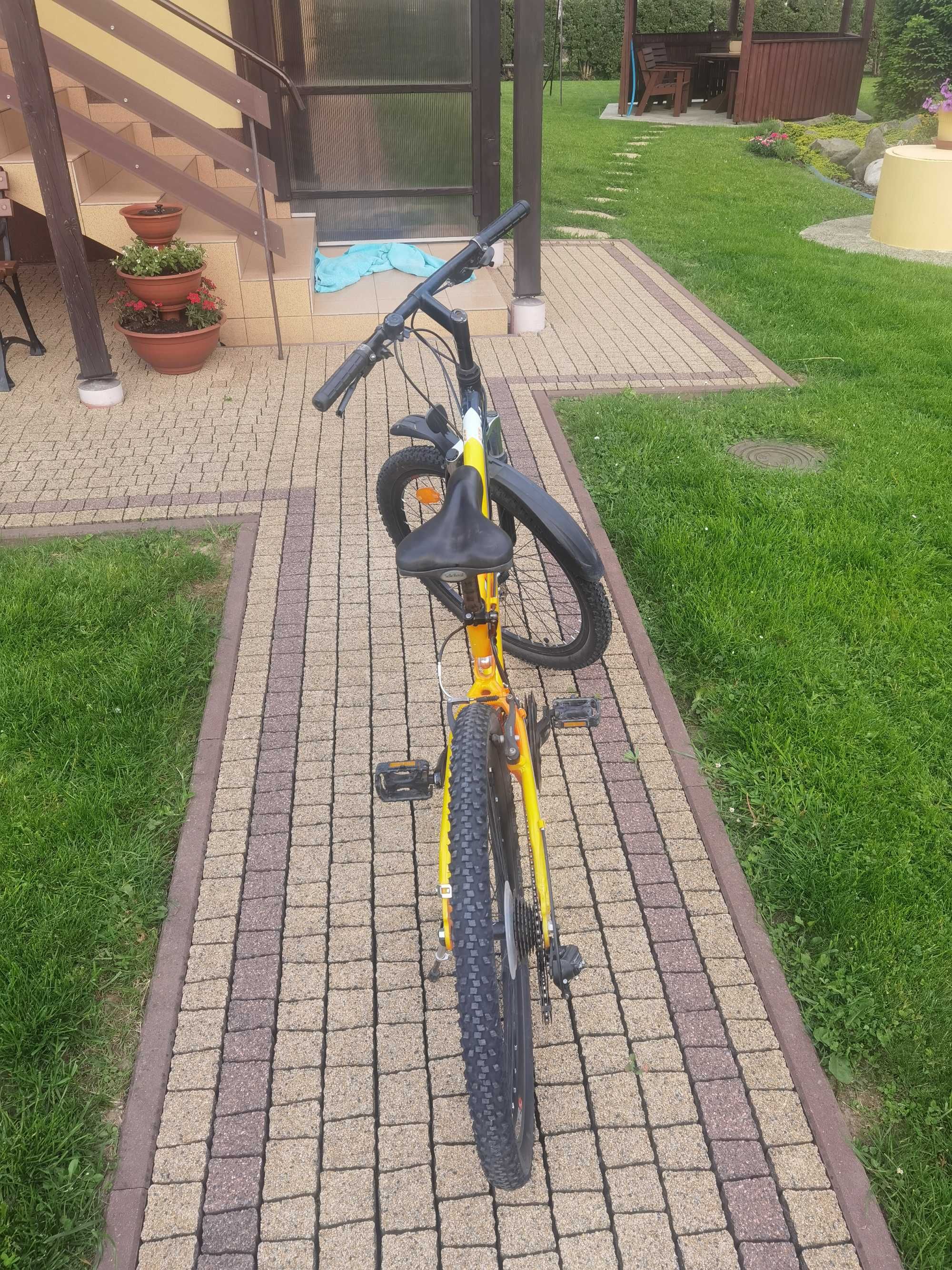 Rower Kross Hexagon X1