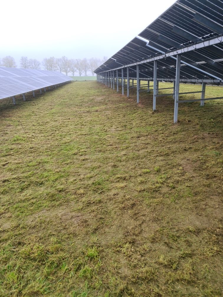 Koszenie farm fotowoltaicznych paneli terenów zielonych