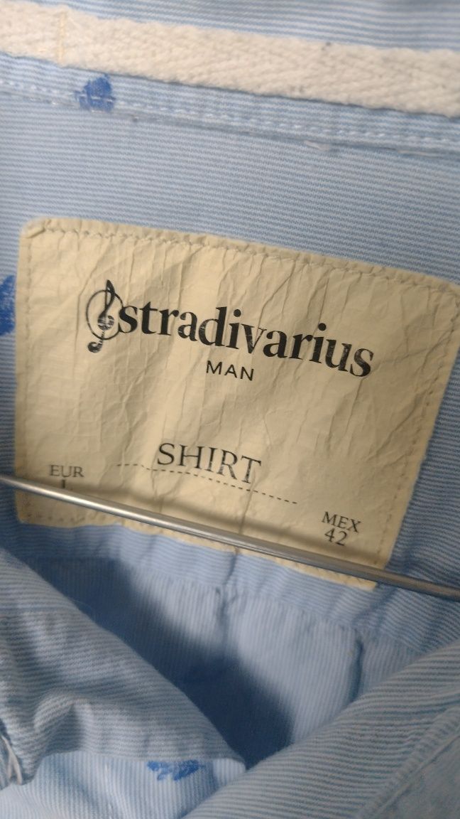 koszula męska stradivarius