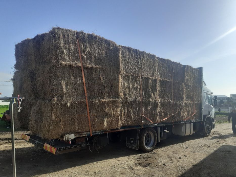 Venda de feno e palha