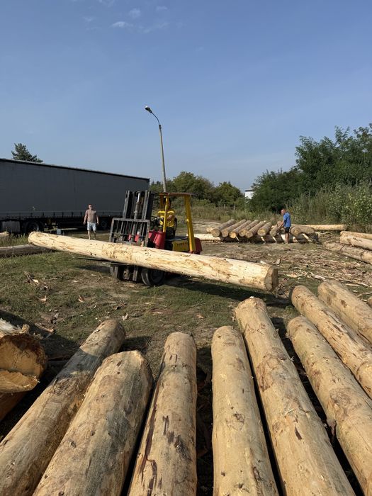 Дикий зруб продаж готовий та під замовлення.