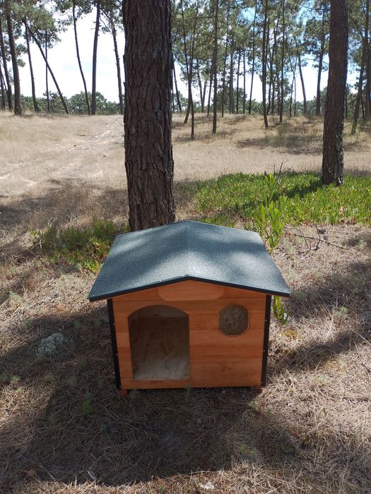 Casota para beagle