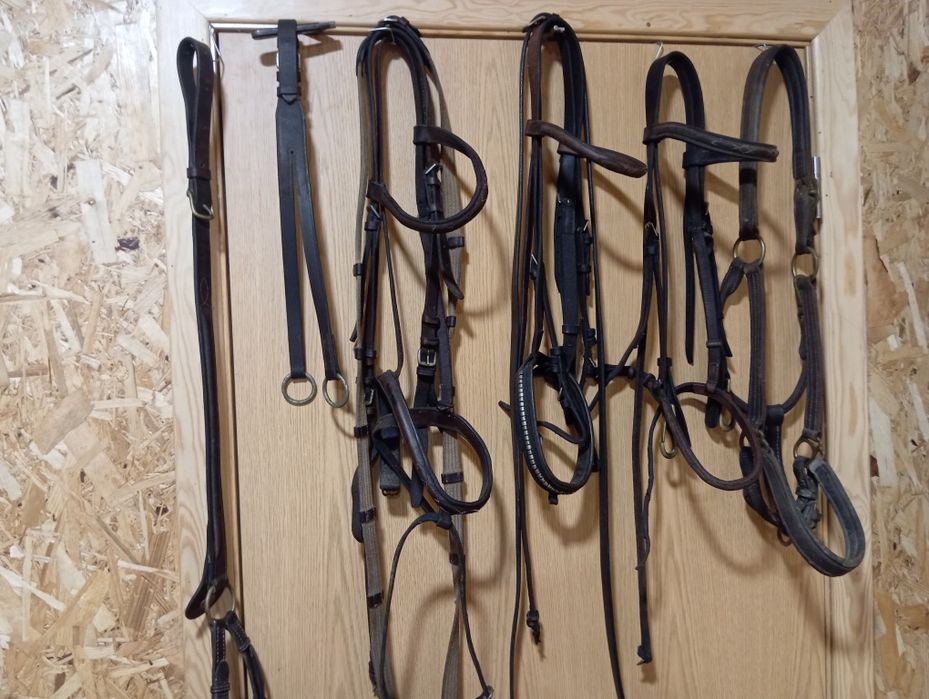 Selim/ arreio de obstáculos completo com cabeçadas