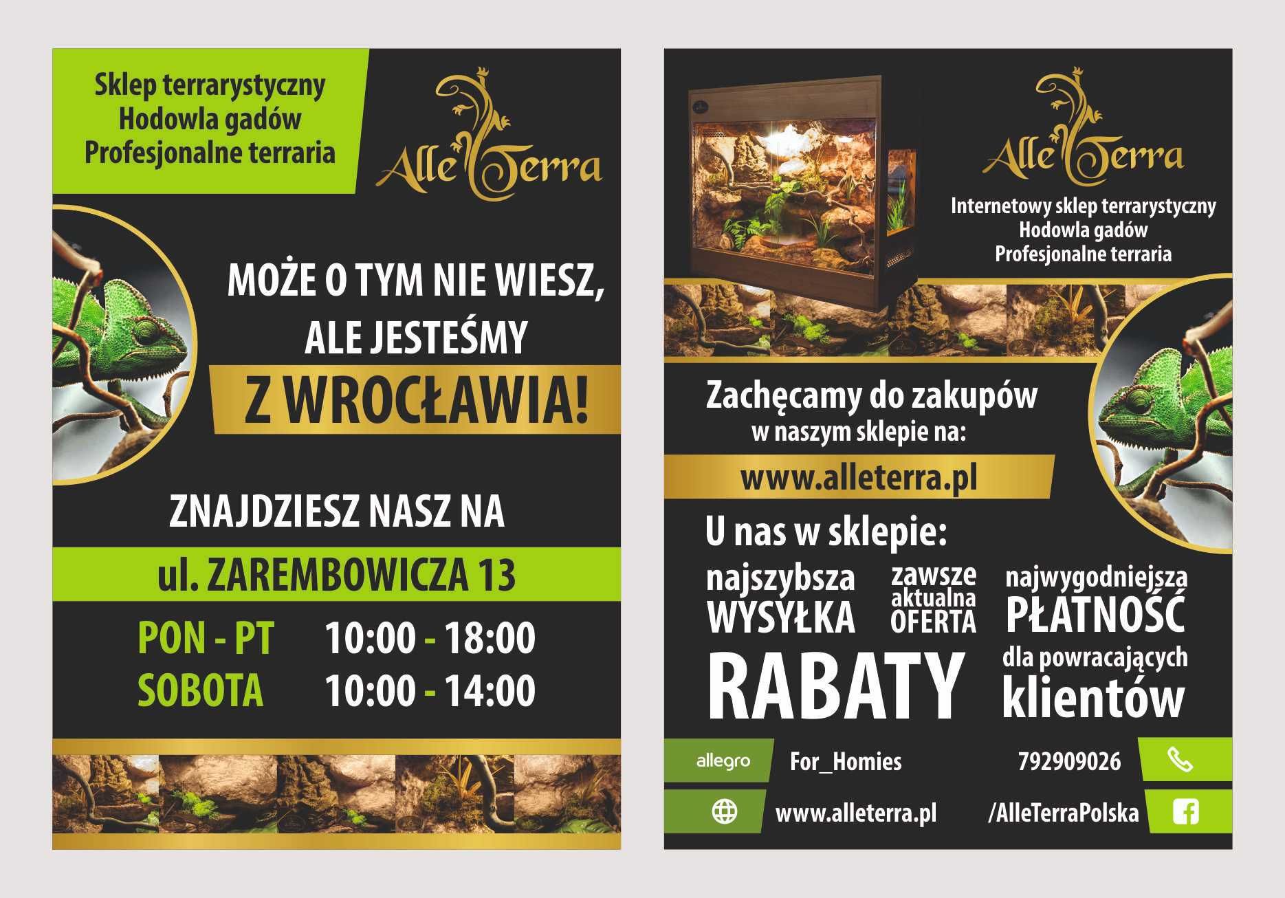 Zestaw elementów wystroju do terrarium.