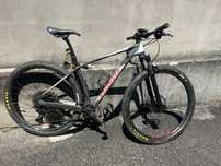 Specialized Stumpjumper 29”