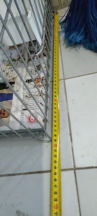 Gaiola papagaio com comedores