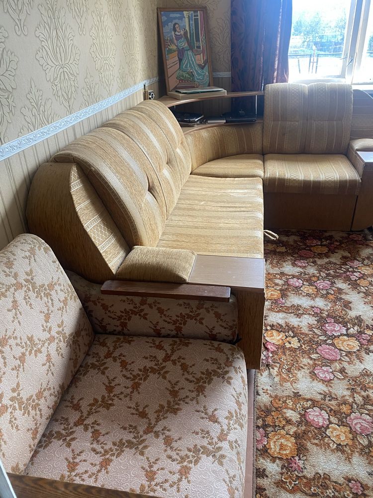 Продаю житловий будинок в селі Нова Зоря у передмісті Кривого Рогу