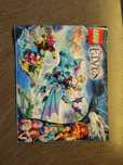 Lego elves 41172