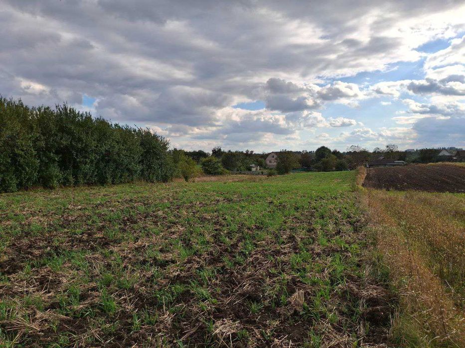 Продаж ділянки 44 сотки під забудову. Електрика, газ - поруч. ID:749