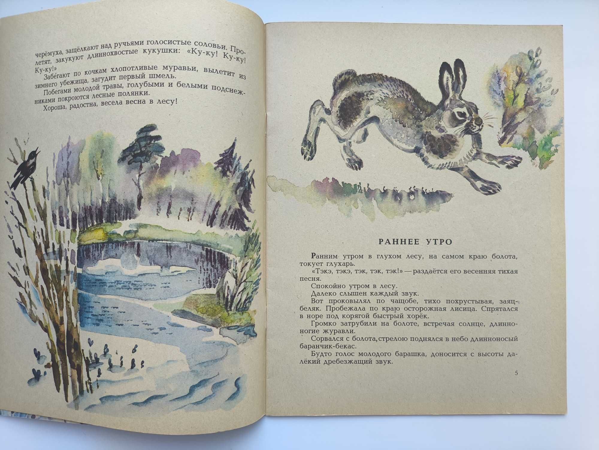 Весна в лесу. И. Соколов-Микитов.