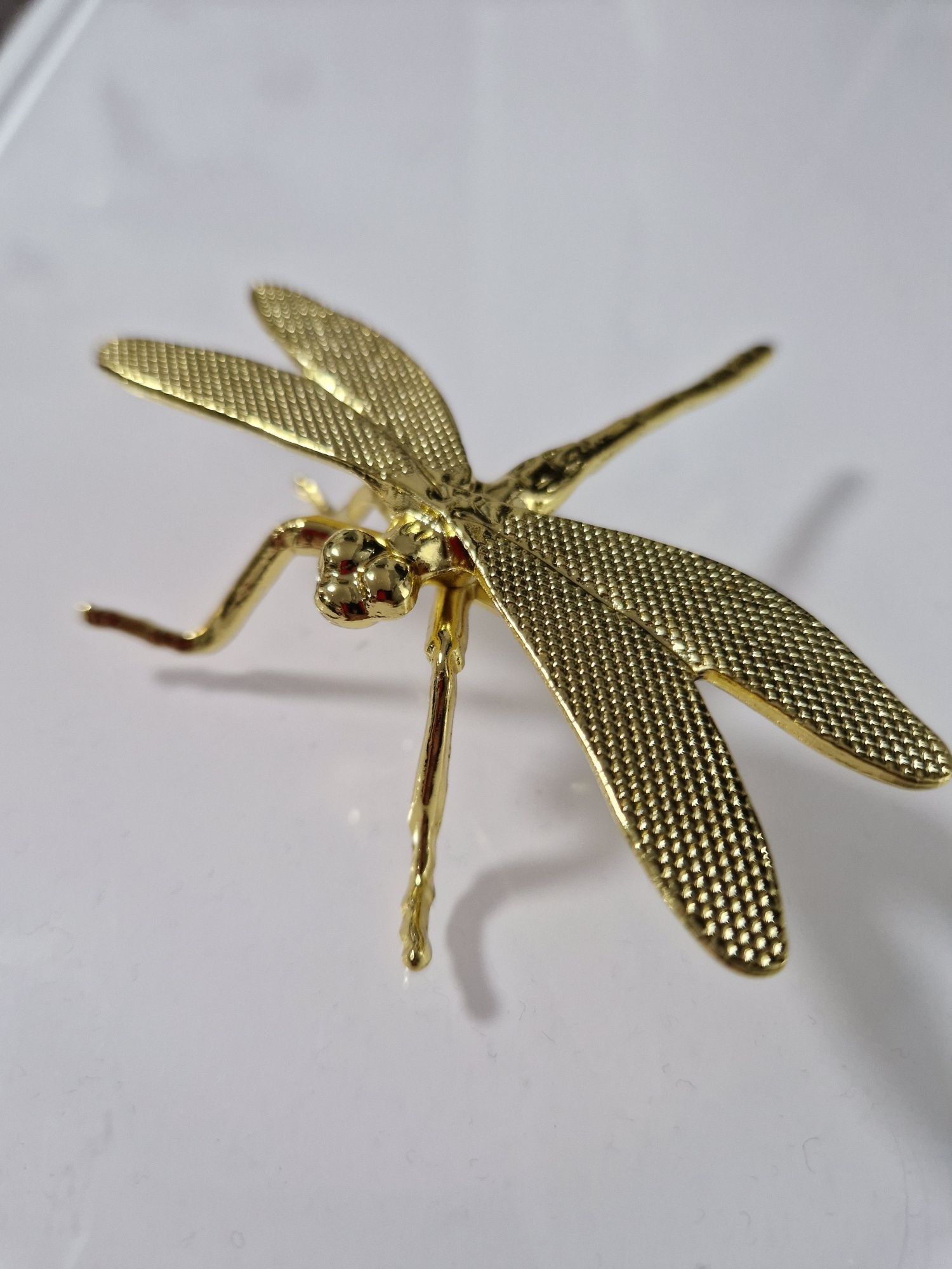 Libelinha dourada lindíssima.  Nova