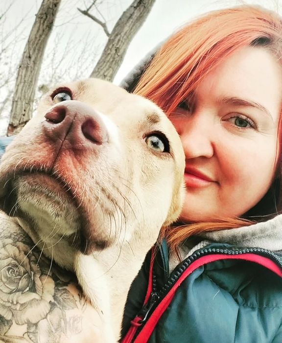 Американський пітбультерьер