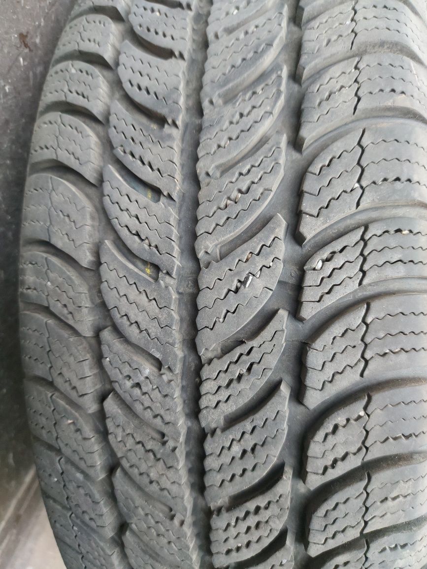 Debica frigo 2 195/65 R15