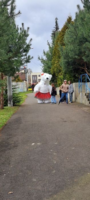 Biały Miś / Miś na imprezę/wesele