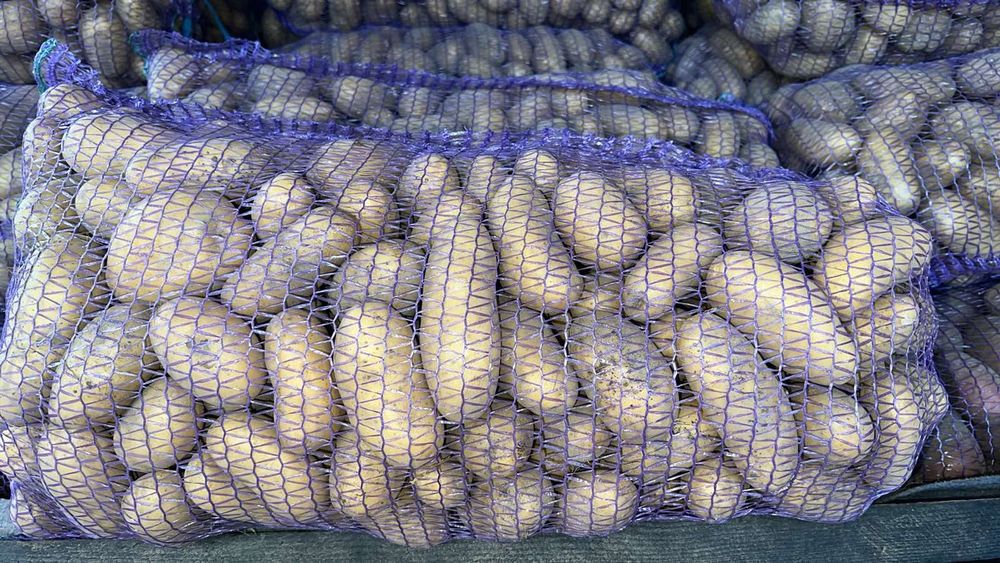Продам картоплю велику