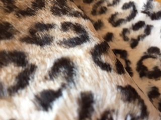 Gola de pelo leopardo com interior de cetim zara